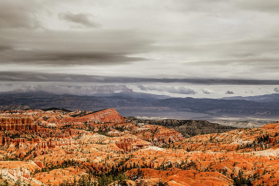 Arid Landscape At Bryce Canyon  Photograph by Alberto Zanoni