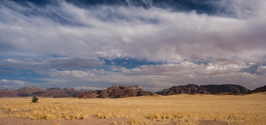 Arid landscape in Sesriem area, Namibia. Photograph by Annick Vanderschelden Photography