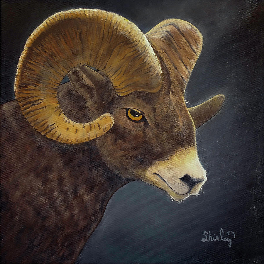 Aries Ram Painting by Shirley Dutchkowski - Fine Art America