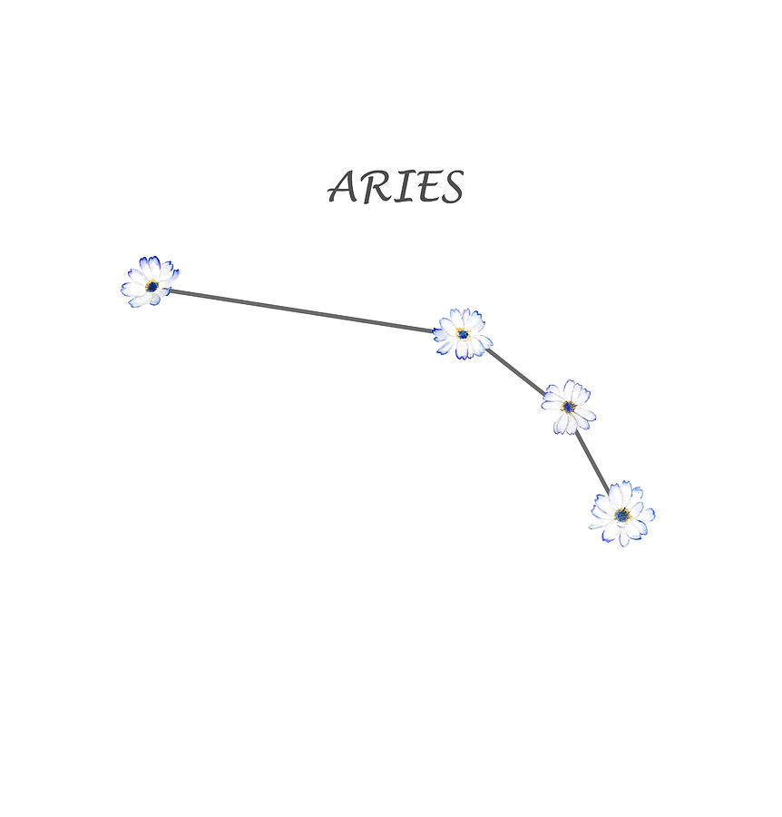 Aries Zodiac horoscope Constellation Sticker flower Painting by Color ...