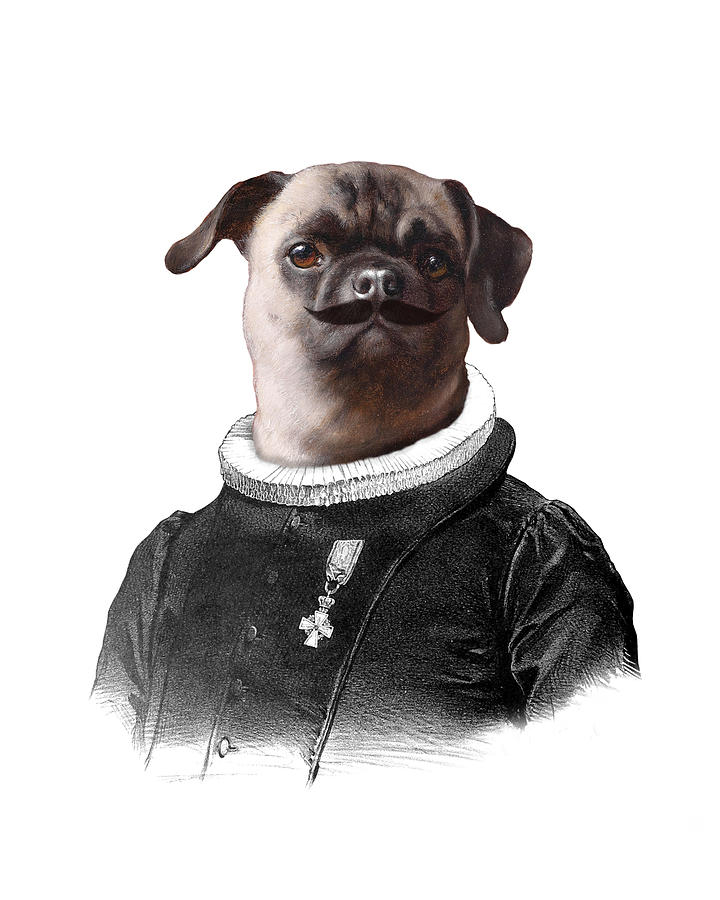 Cool Digital Art - Aristocratic Pug by Madame Memento