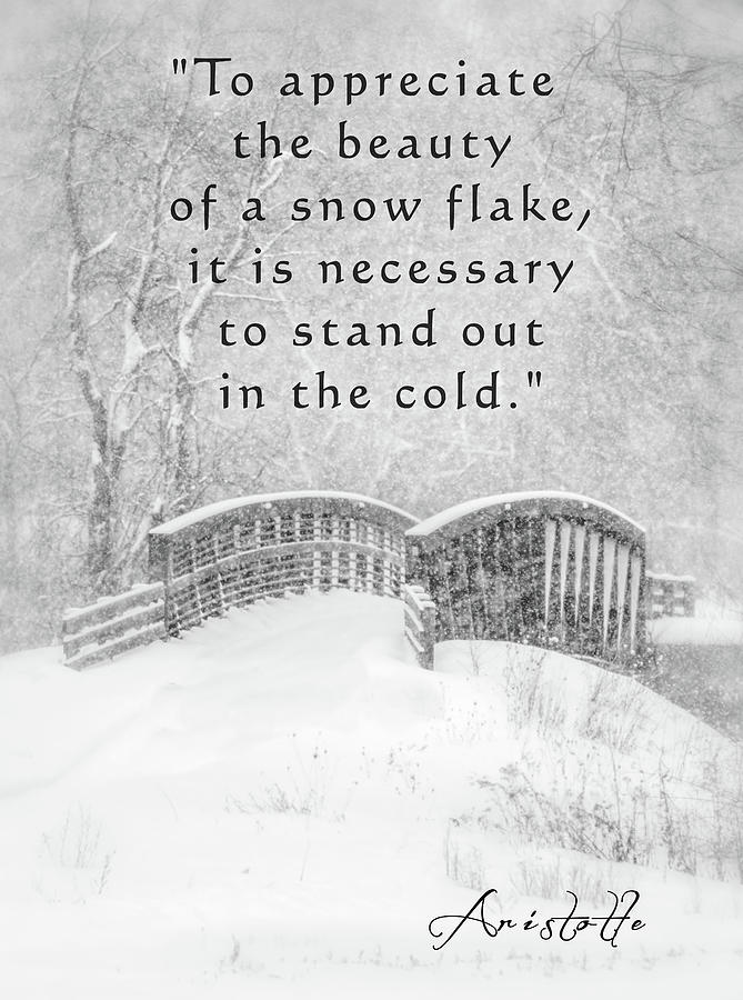 Aristotle Winter Quote Mixed Media by Dan Sproul