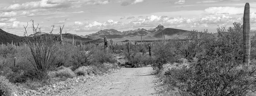 Nature Photograph - Arizona Back Roads 1 - Black and White by Teresa Wilson