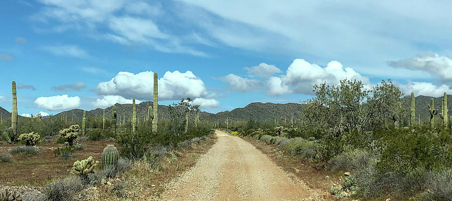 Arizona Back Roads 3 Photograph by Teresa Wilson