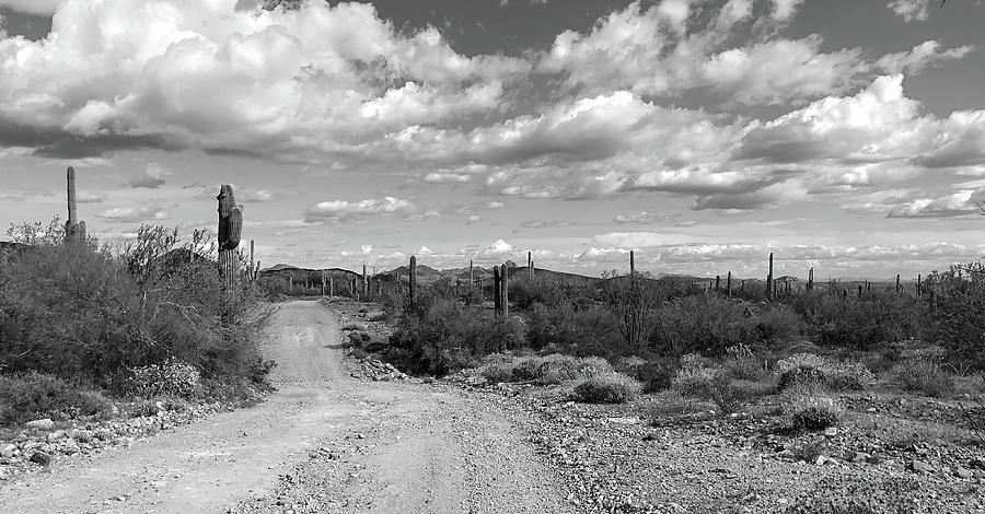 Nature Photograph - Arizona Back Roads 5 BW by Teresa Wilson