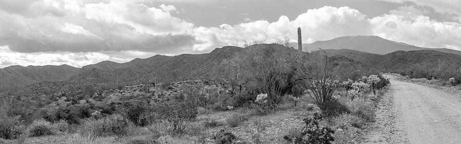 Nature Photograph - Arizona Back Roads Panorama 3260 BW by Teresa Wilson