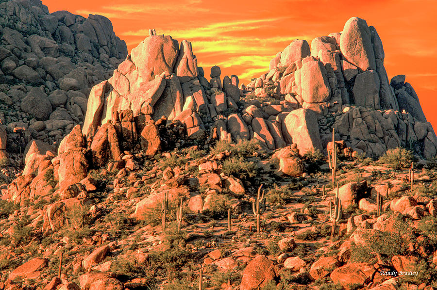 Arizona Boulders  Photograph by Randy Bradley