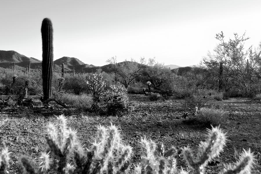 Arizona Byways Photograph by Glenn McCarthy Art and Photography