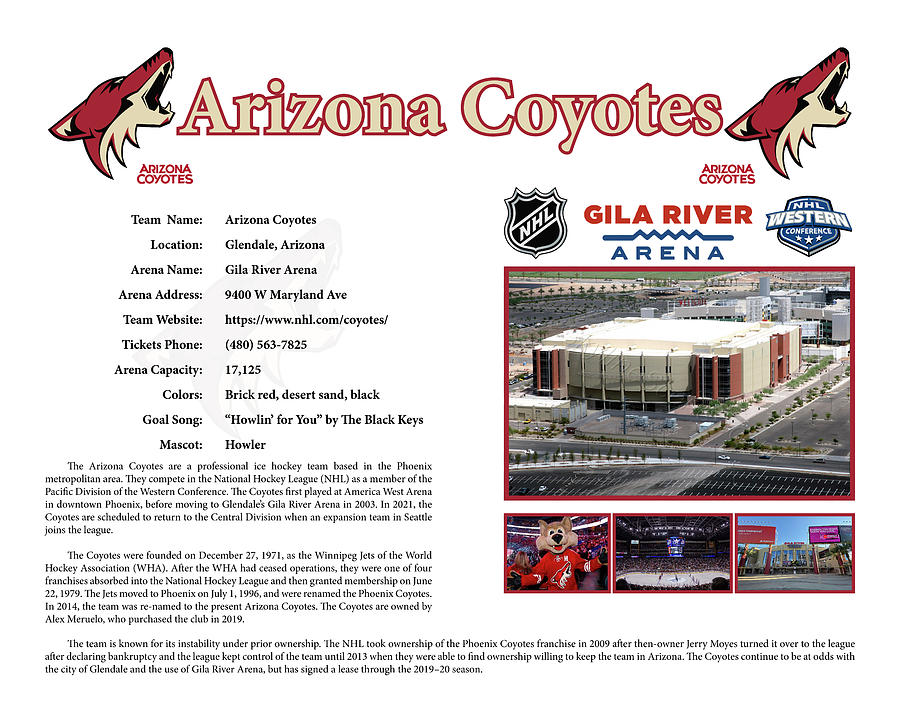 https://images.fineartamerica.com/images/artworkimages/mediumlarge/3/arizona-coyotes-poster-bob-wood.jpg