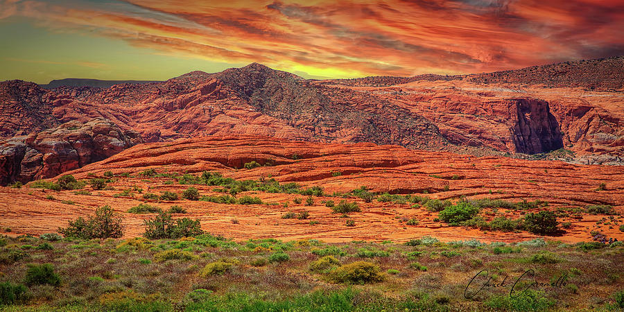 Arizona Desert... Photograph by Chuck Caramella