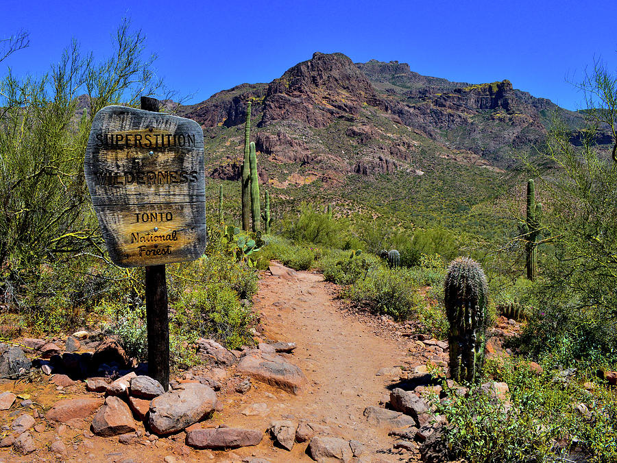 Arizona Desert Hiking Photograph by Susie Loechler