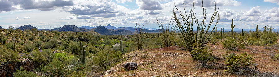Nature Photograph - Arizona Desert  Landscape Panorama 2 by Teresa Wilson