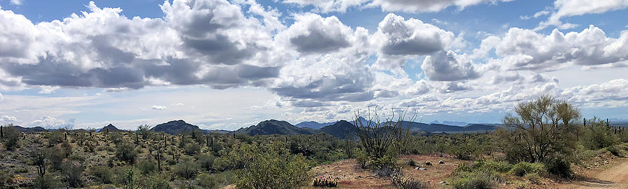 Nature Photograph - Arizona Desert Landscape Panorama by Teresa Wilson