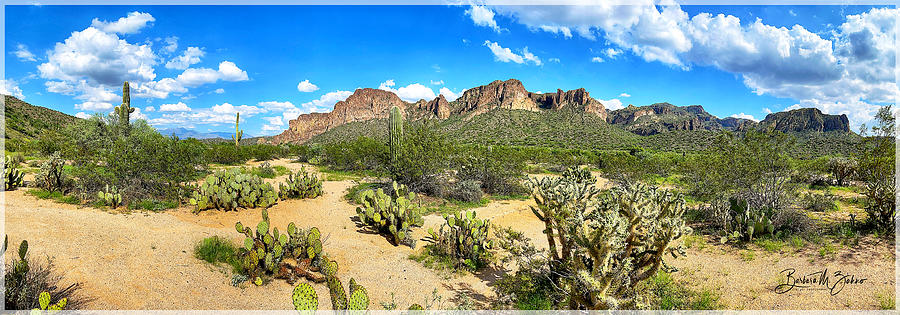 Arizona Desert Scenes - Series #3 Photograph by Barbara Zahno
