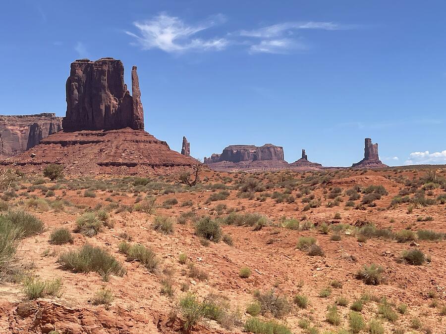 Arizona Desert Photograph by Shirley Stevenson Wallis - Fine Art America