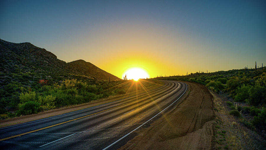 Arizona Desert Spring Golden Hour Pathway to Paradise Photograph by Anthony Giammarino