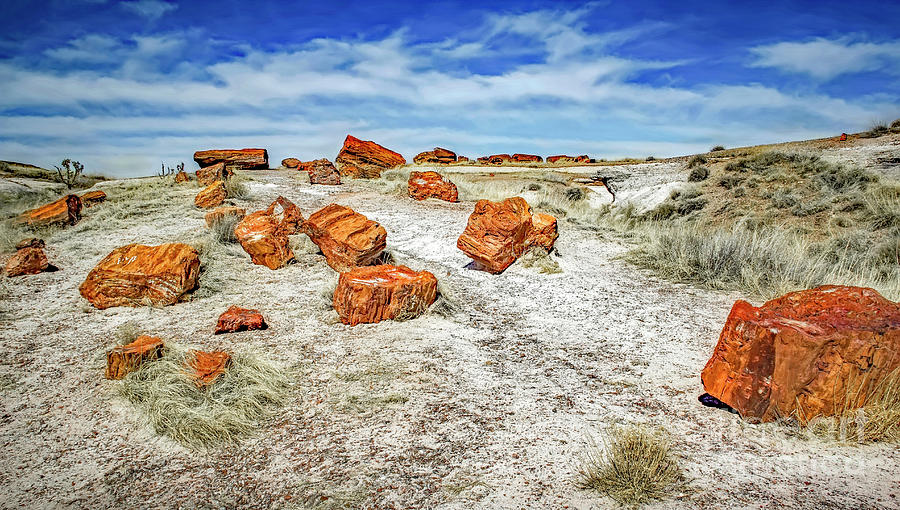 Arizona Fake Rocks Photograph by Jon Burch Photography