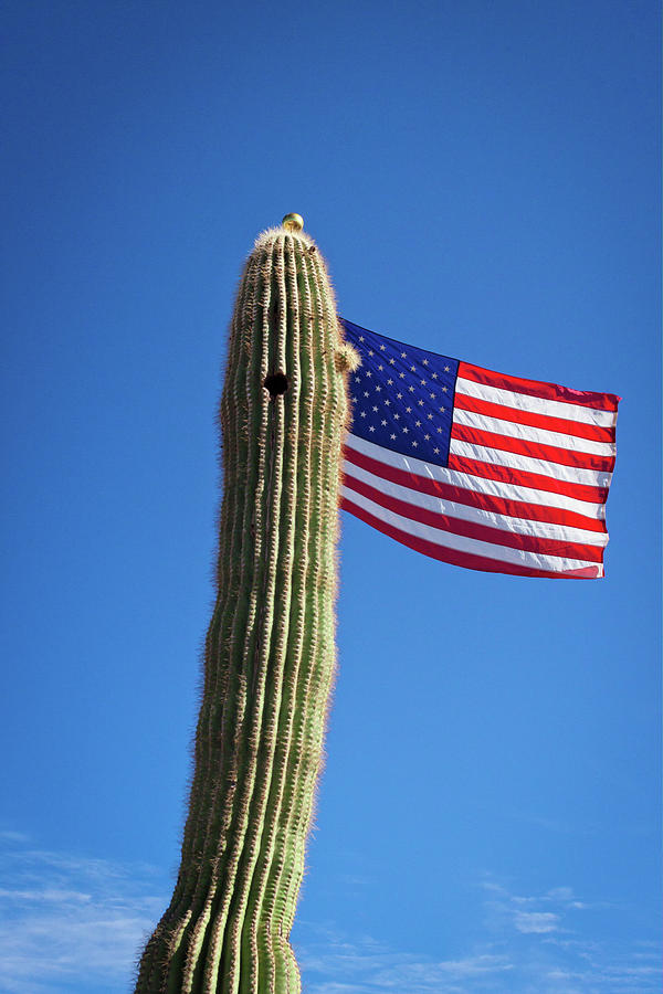 American Flag Photograph - Arizona Flagpole by Jack and Darnell Est American Flag Photograph - Arizona Flagpole by Jack and Darnell Est