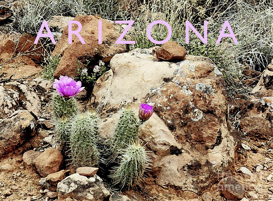 Arizona Greeting Card Cactus in Bloom Mixed Media by Sharon Williams Eng