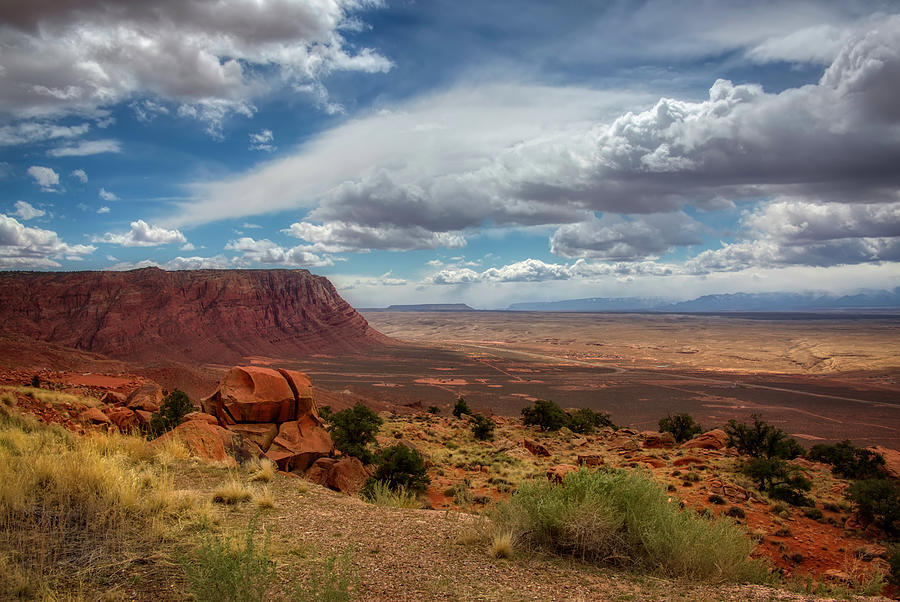 Arizona Landscape from Roadside 1 Photograph by Jennifer Rondinelli Reilly