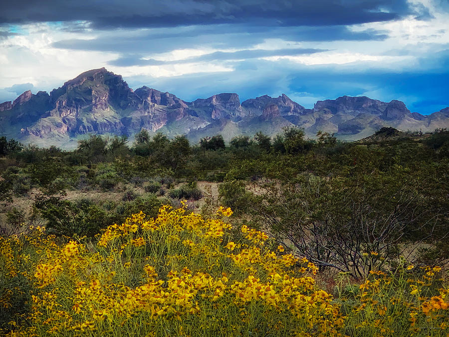 Arizona Spring Landscape Photograph by John A Rodriguez
