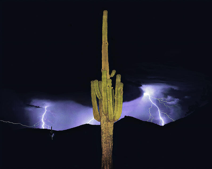 Arizona Monsoon Photograph by Don Schimmel