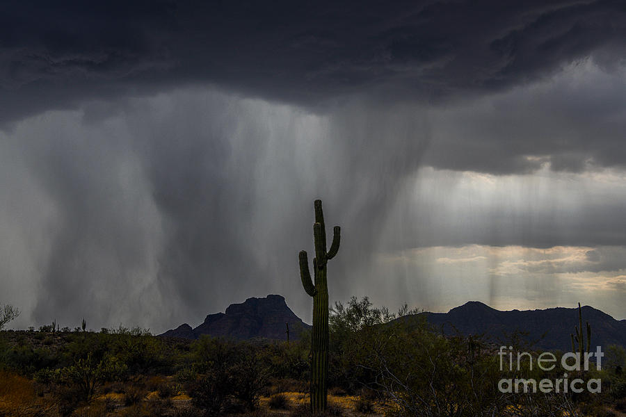 Arizona Monsoon over Red Mountain Digital Art by Tammy Keyes
