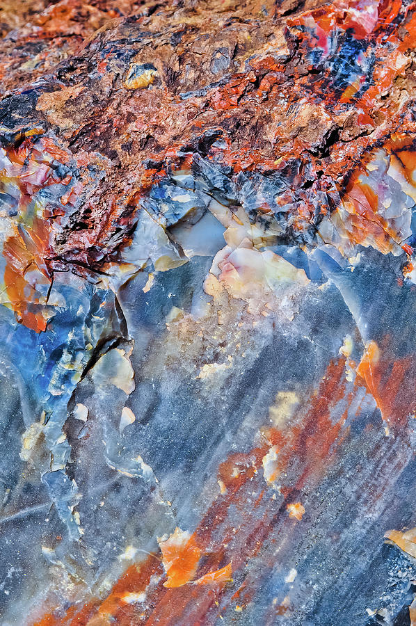 Arizona Petrified Wood Texture Photograph by Kyle Hanson