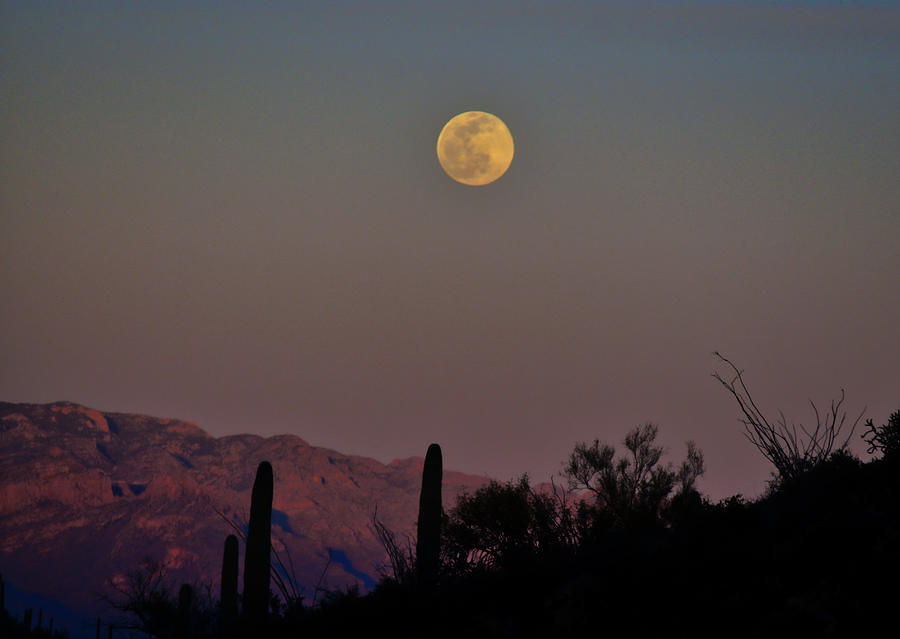Arizona Rising Moon Photograph by Chance Kafka