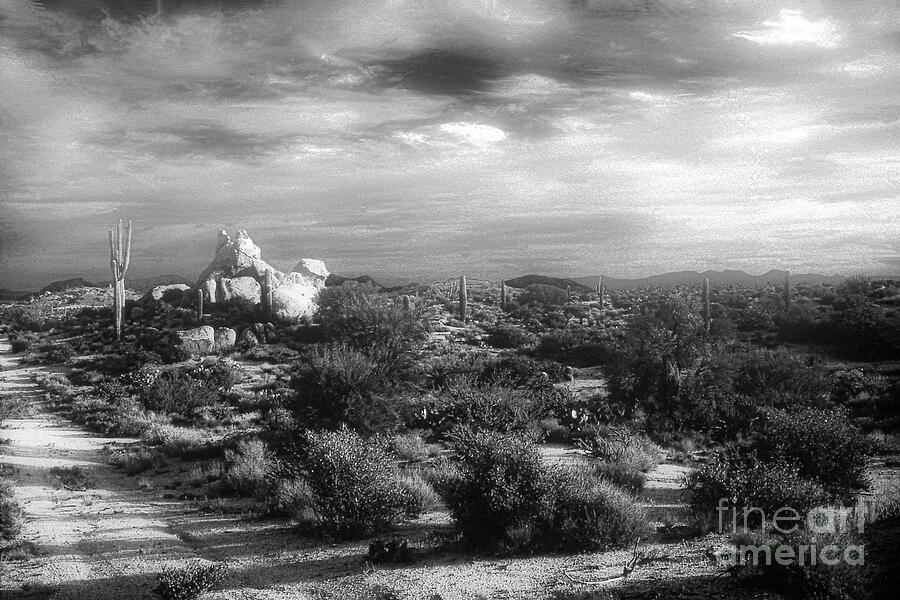 Arizona Rock - Black And White Digital Art by Anthony Ellis