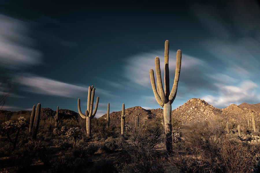 Arizona #83 Photograph