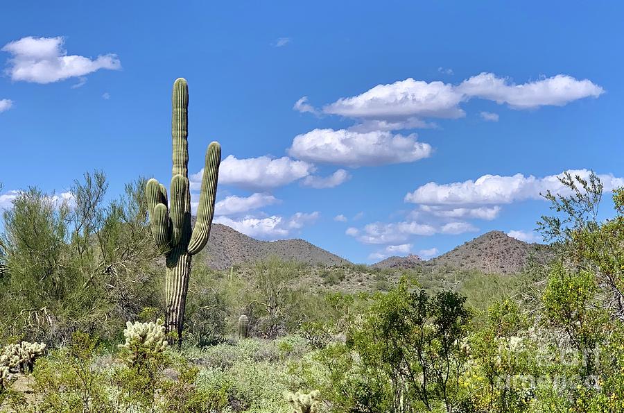 Arizona Photograph by Sean Griffin