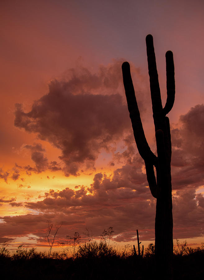 Arizona Sky 2 Photograph by Melisa Elliott
