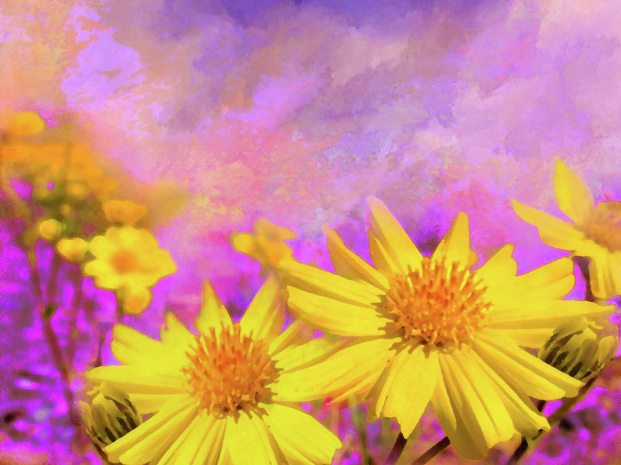 Arizona spring bloom Digital Art by Jeff Burgess