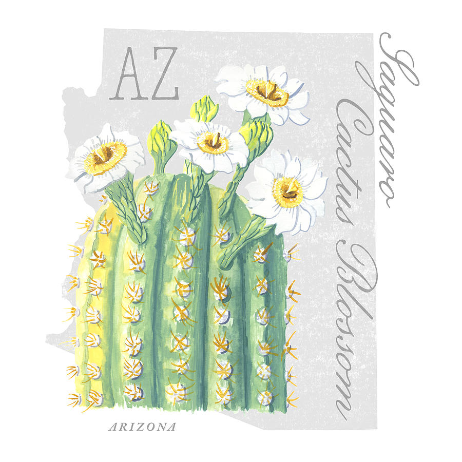 Arizona State Flower Saguaro Cactus Blossom Art by Jen Montgomery Painting by Jen Montgomery