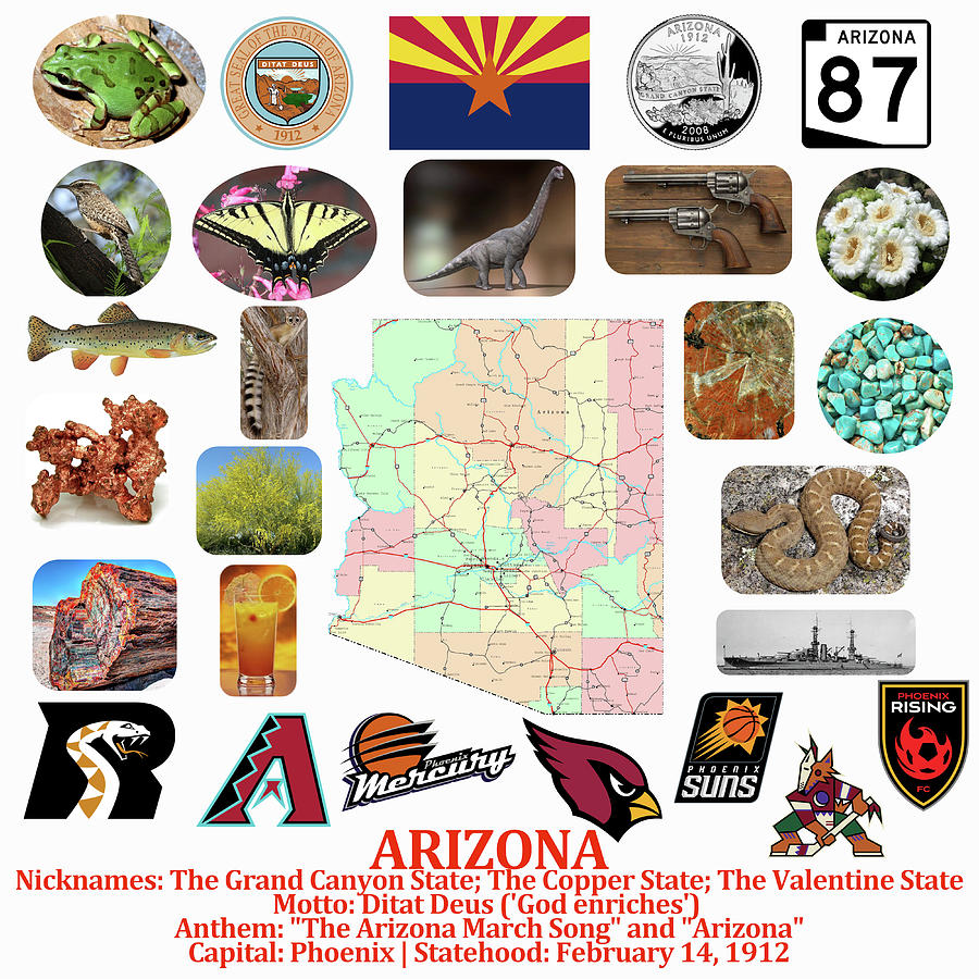 Arizona State Symbols Photograph by Robert Banach