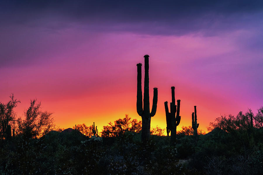 Arizona Summer Nights Photograph by Saija Lehtonen | Pixels