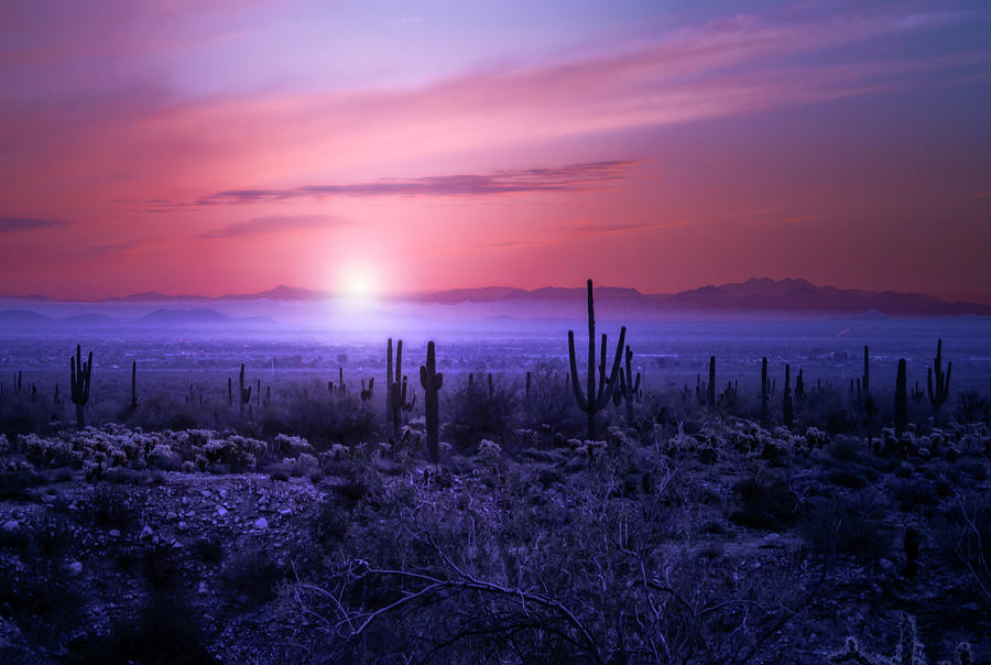 Arizona Sunrise Photograph by Jim Painter