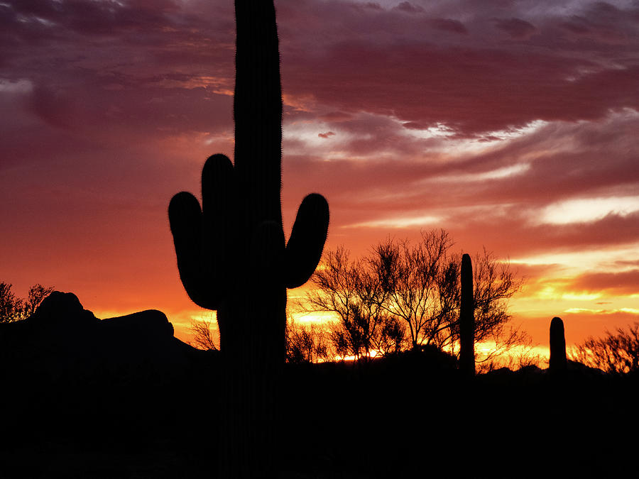 Arizona Sunset 2 Photograph by Dianne Milliard