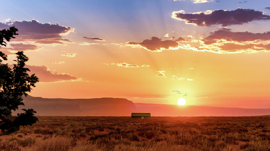 Arizona Sunset Photograph by G Lamar Yancy