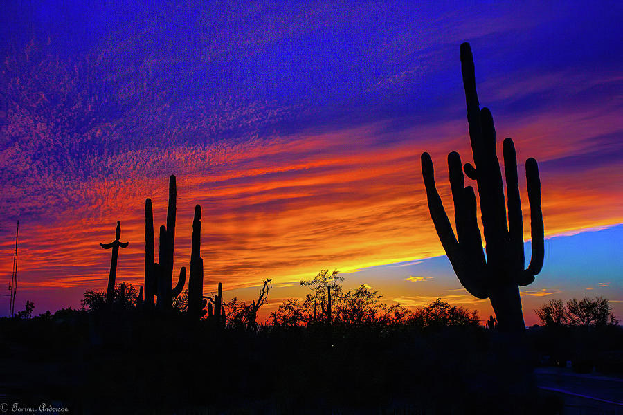 Arizona Sunset Photograph by Tommy Anderson