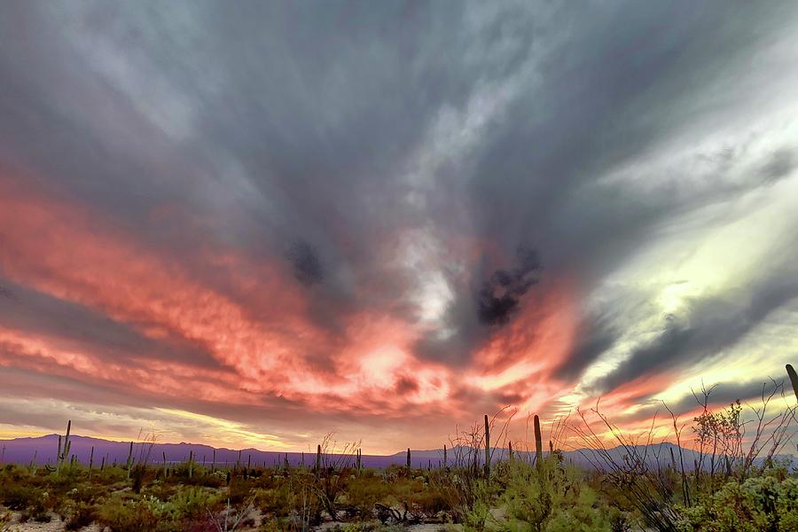 Arizona Tucson Desert Sunset Photograph by Jeff Speigner