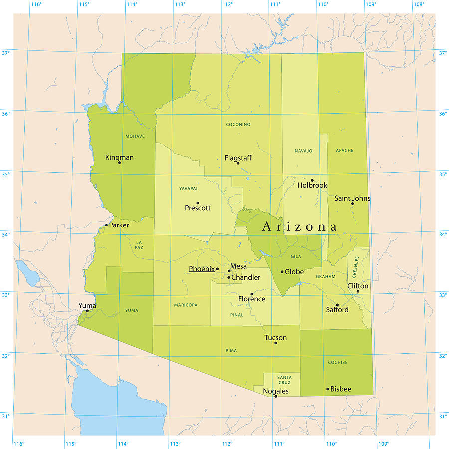 Arizona Vector Map Drawing by FrankRamspott