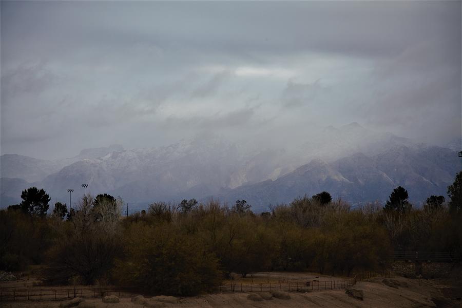 Arizona Winter Photograph by David S Reynolds