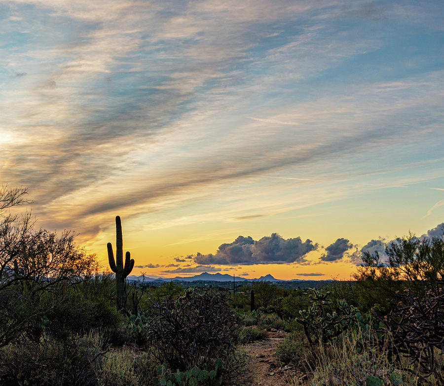Arizona Winter Sky Photograph by Bobbie Delaney - Fine Art America