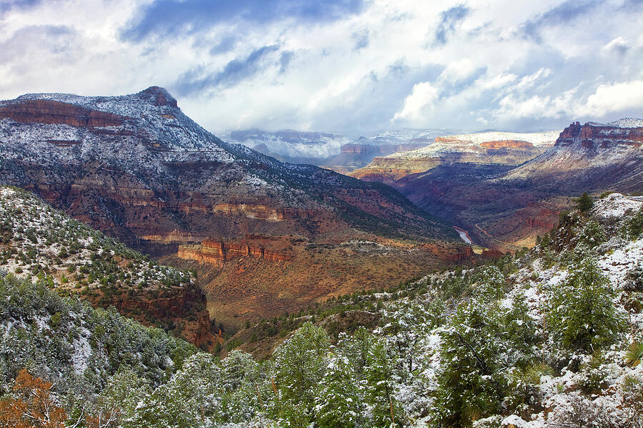 Arizonas Jr Grand Canyon Photograph by Rick Furmanek