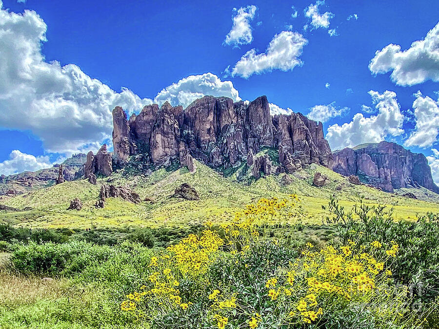 Arizona Superstition Mountains 2 Photograph by Linda Weinstock