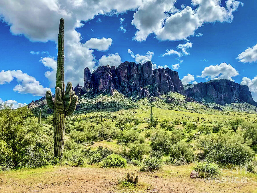 Arizona Superstition Mountains 1 Photograph by Linda Weinstock