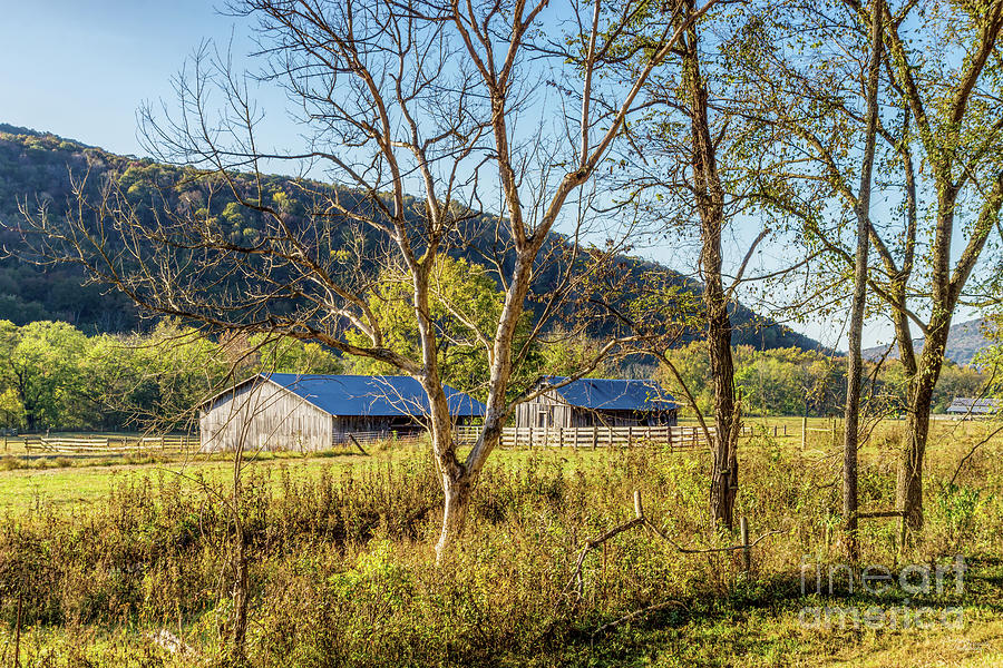 Arkansas Barns In The Fall Photograph by Jennifer White
