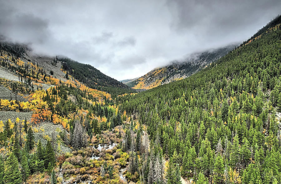 Arkansas Headwaters Autumn Vally Photograph by JC Findley
